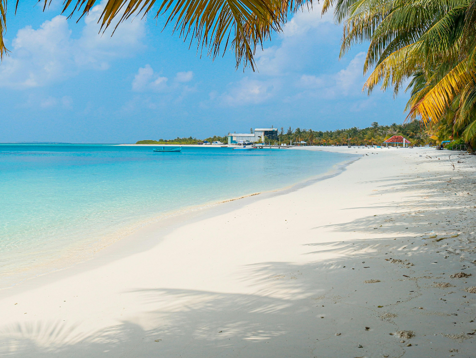 SEO About Me Beach by Evangeline Millana