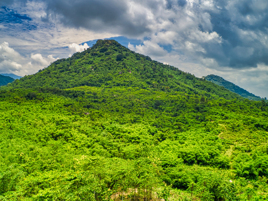 VA About Me Mountain by Evangeline Millana